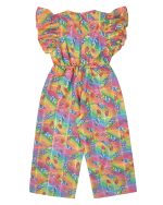 Multi Color Printed Jumpsuit