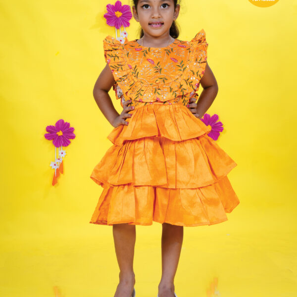 Girls Frock